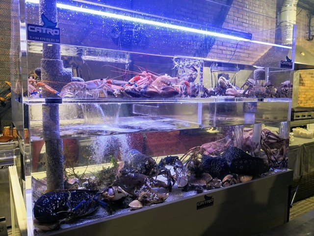 Acuarios de marisco a medida para restaurantes y pescaderías