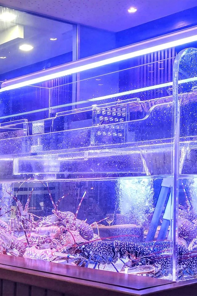 Acuarios para marisco a medida