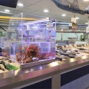 ¿Cuál es el precio de nuestros acuarios para marisco vivo?
