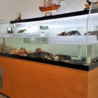 Diferencias entre los acuarios de restauración y los acuarios domésticos