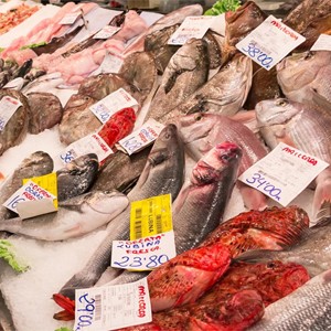 Diferencias entre los acuarios para restauración y los de pescaderías
