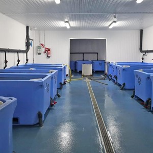 Fabricación a medida de depuradoras para marisco para toda España