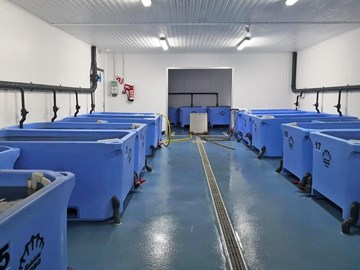 Fabricación a medida de depuradoras para marisco para toda España
