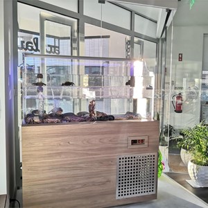 Fabricación de acuarios de hostelería a medida al mejor precio
