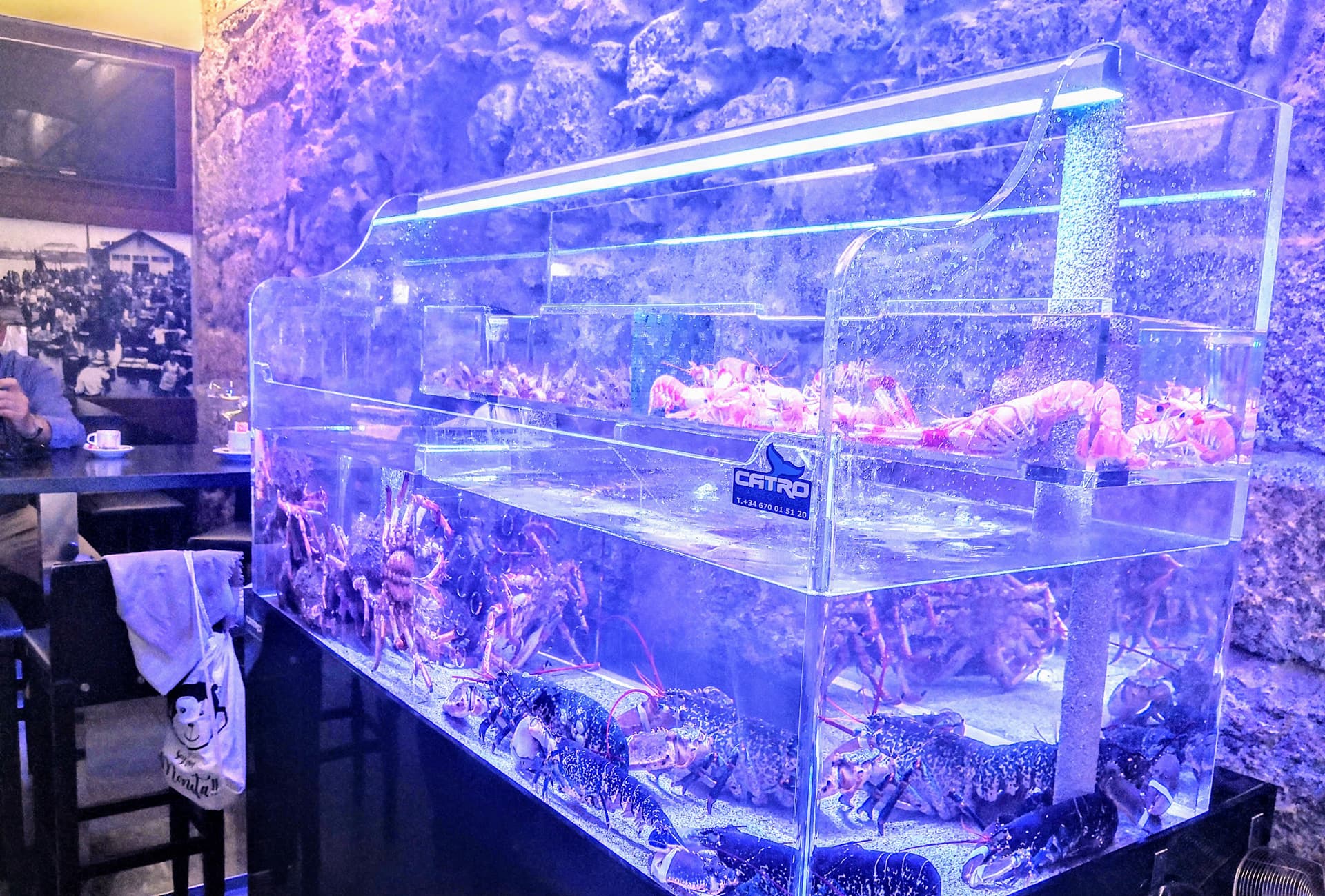 Bombas para acuario