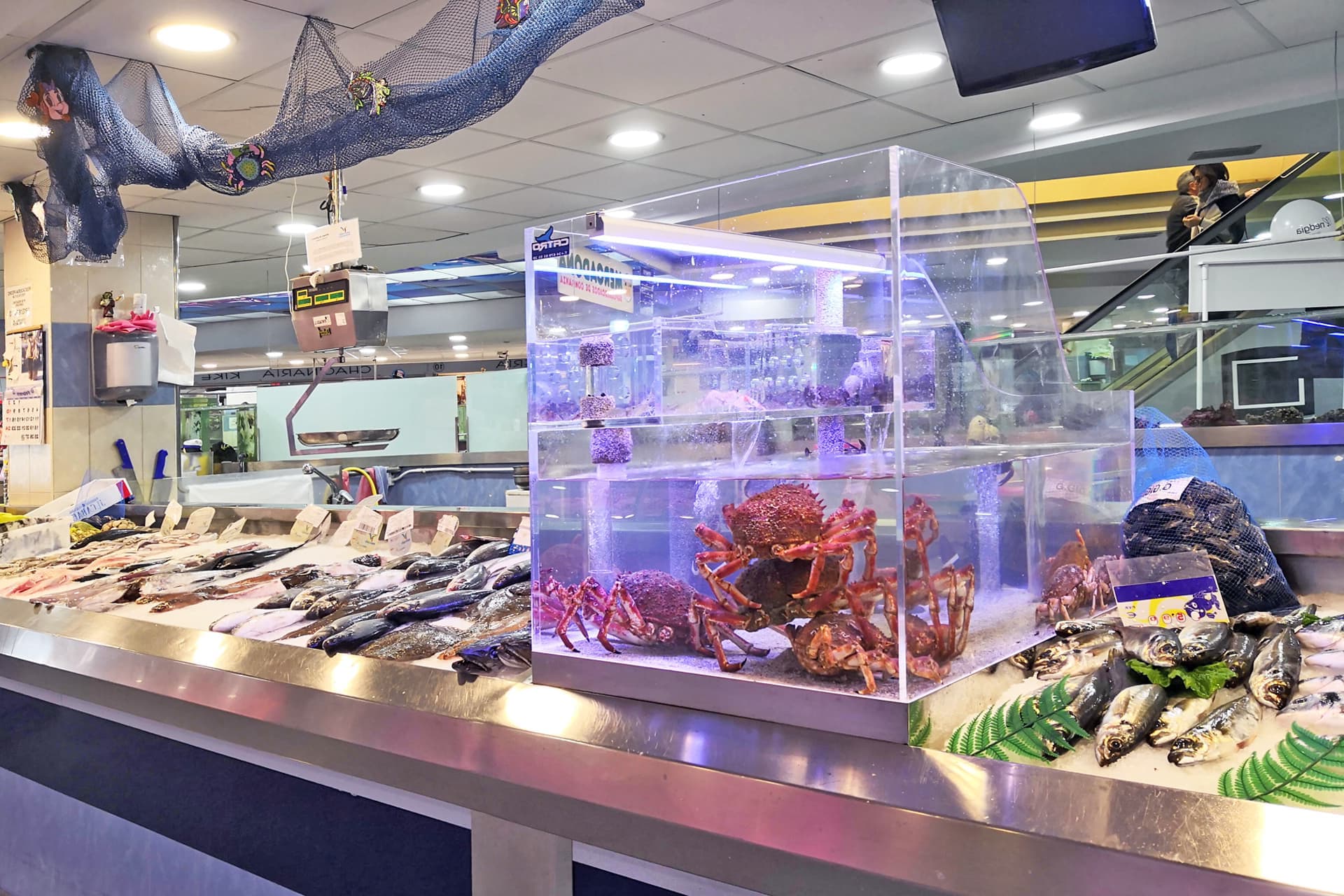 Acuarios de pescadería adaptados a cualquier espacio