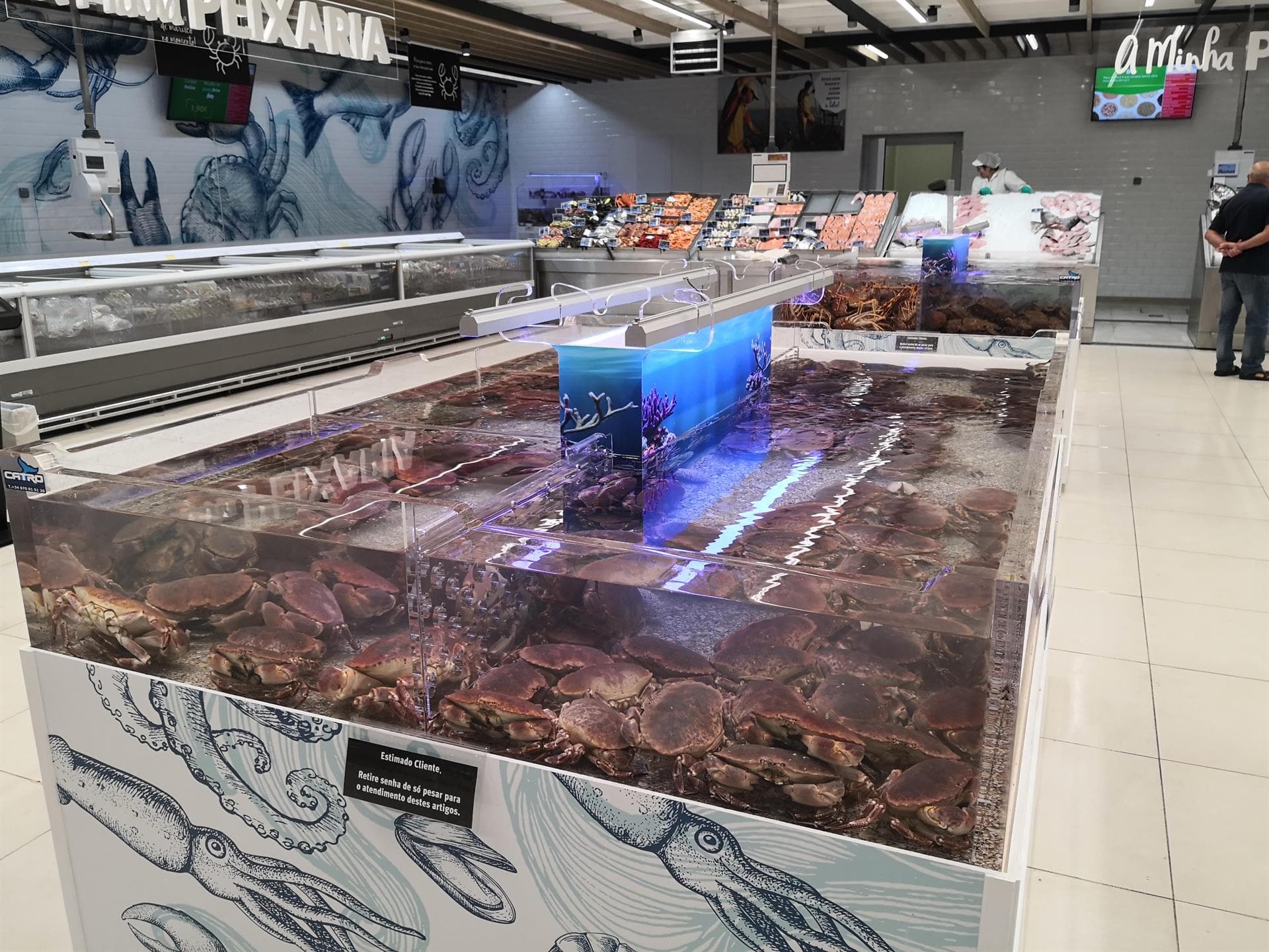 Comprar acuario para pescadería