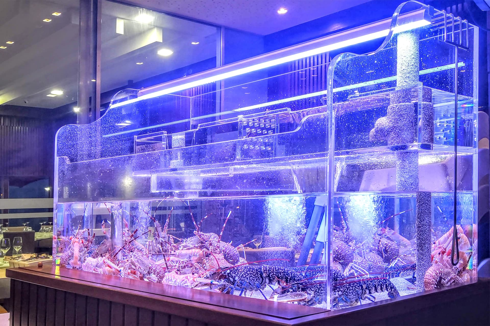 Alquiler de acuarios para restaurantes