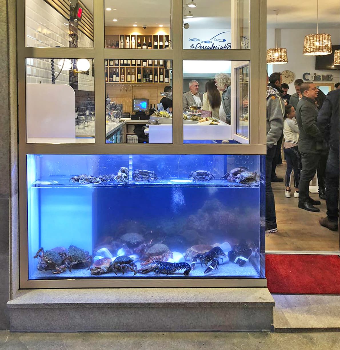 Comprar acuario para restaurantes