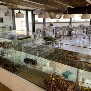 Instalamos acuarios a medida en su restaurante