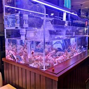La importancia de los viveros para marisco en restaurantes