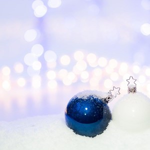 Regalos de Navidad para amantes de los peces y los acuarios