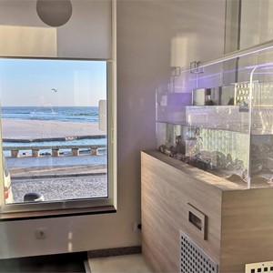 Súmate a la acuariofilia. Compra tu acuario al mejor precio y consigue el mantenimiento gratis